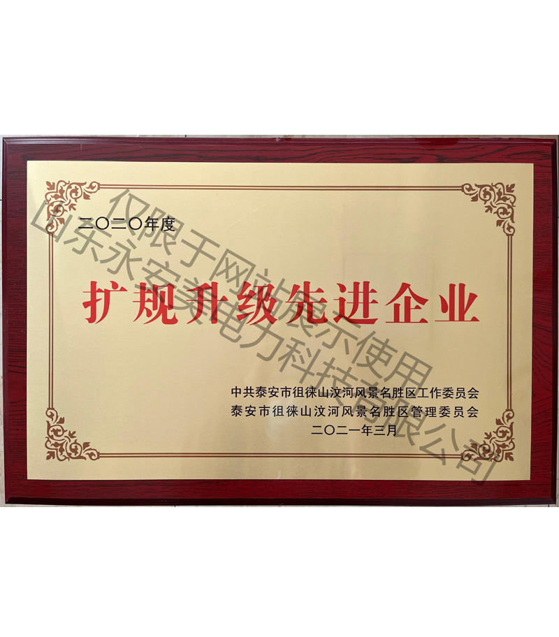 2020年度扩归升级先进企业