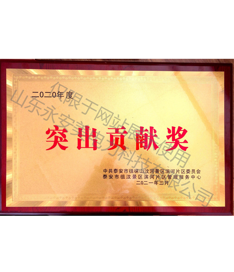 突出贡献奖